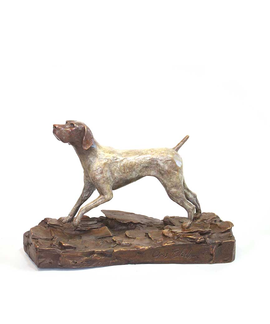 German Shorthaired Pointer