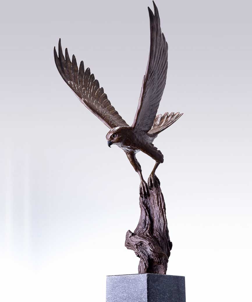 Chris Bladen Greater Kestrel