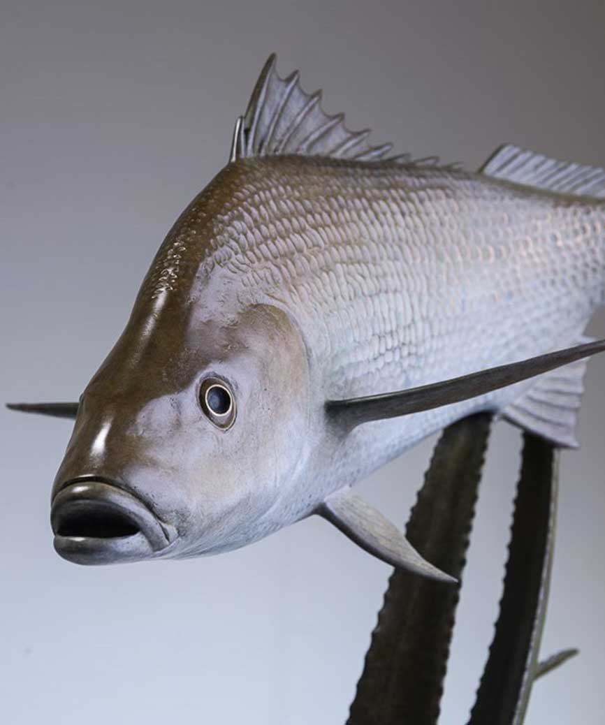 Chris Bladen Spotted Grunter