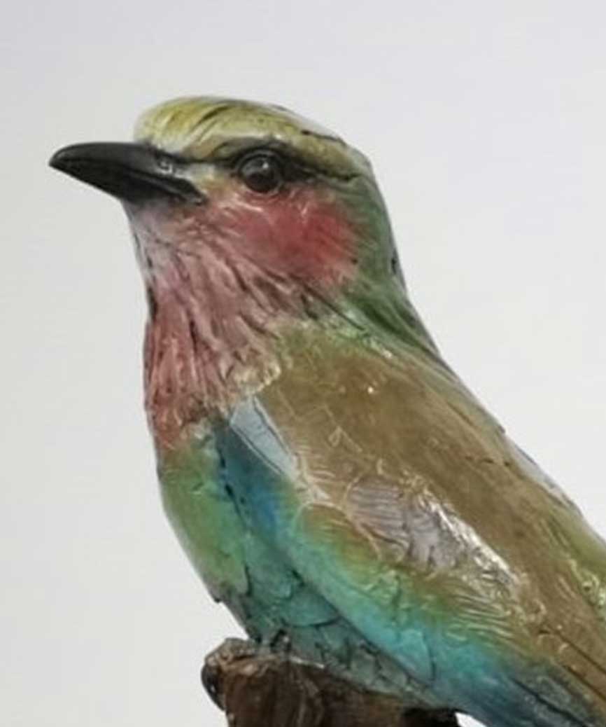 Chris Bladen Lilac Breasted Roller